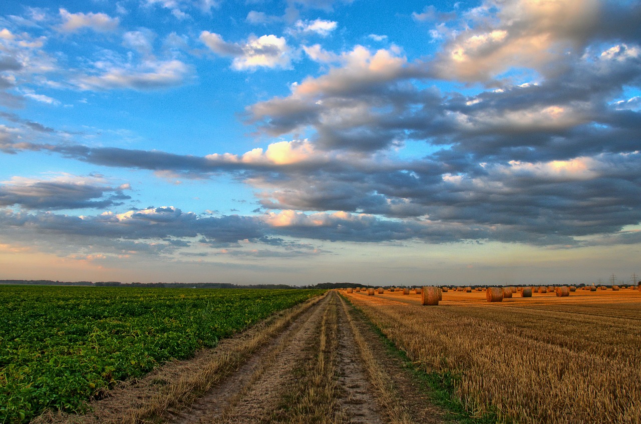 nature-213364_1280